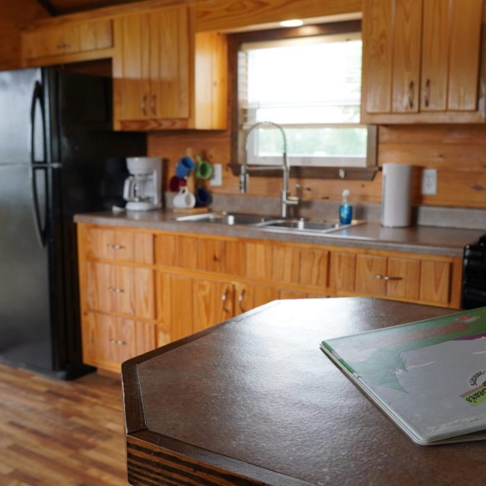 Cindy Bear 2 Kitchen